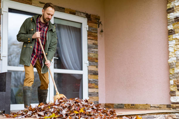 Best Affordable Junk Removal Services  in Dandridge, TN